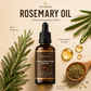 🥳2026 HOT SALE🥳💞50K+ SOLD!🌿✨ 100% Pure Batana Hair Oil – Penetrates deep, reactivates growth. Stops hair loss, boosts natural shine. Thicker, stronger hair from the root! 💪🧴