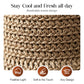 👒Elegant Woven Straw Sun Hat with Bow 🌞