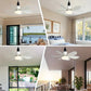 ⏳LAST DAY SALE 🔥40W LED Ceiling Fan Light – 20.5” Ultra-Quiet with Remote 🎯 | E27 + FREE B22 Adapter 🔌 | For Bedroom 😴, Kitchen 👩‍🍳 & Garage 🛠️