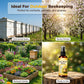 🐝Buy 2 Get 1 Free🎁Natural Outdoor Bee Attractant Spray