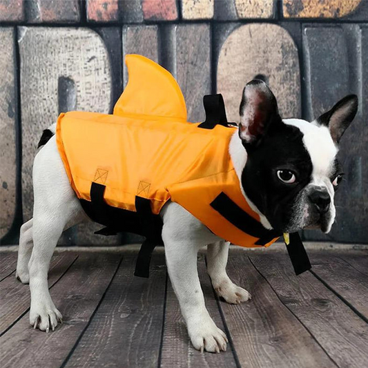 🐶🦈 Adjustable Shark-Shaped Dog Life Vest – Bright colour & reflective trim – Buoyant & secure – perfect for pool, beach or boating – fun and safe 🌊✨