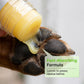 🐶 Moisturizing Pet Paw Balm Stick – Coconut & Beeswax, Lick-Safe, No-Mess 🐾